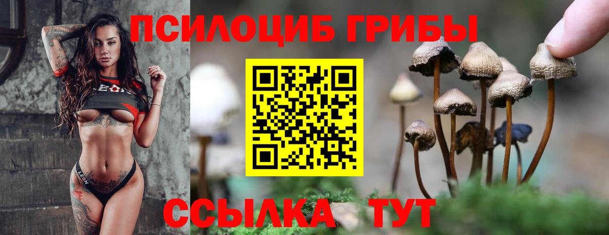 Галлюциногенные грибы Magic Shrooms  закладки  Зеленокумск  Вход с VPN 