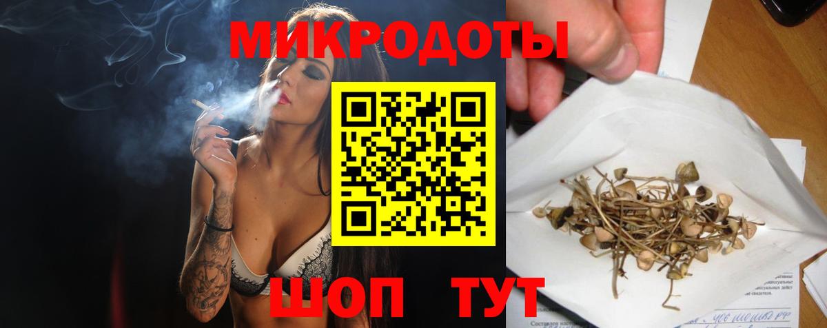 Галлюциногенные грибы Psilocybine cubensis Зеленокумск